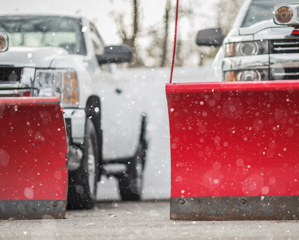 White trucks with large red snow plows